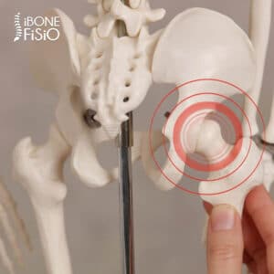 Làm Thế Nào Để Không Bị Giãn Dây Chằng Háng Khi Tập Luyện
