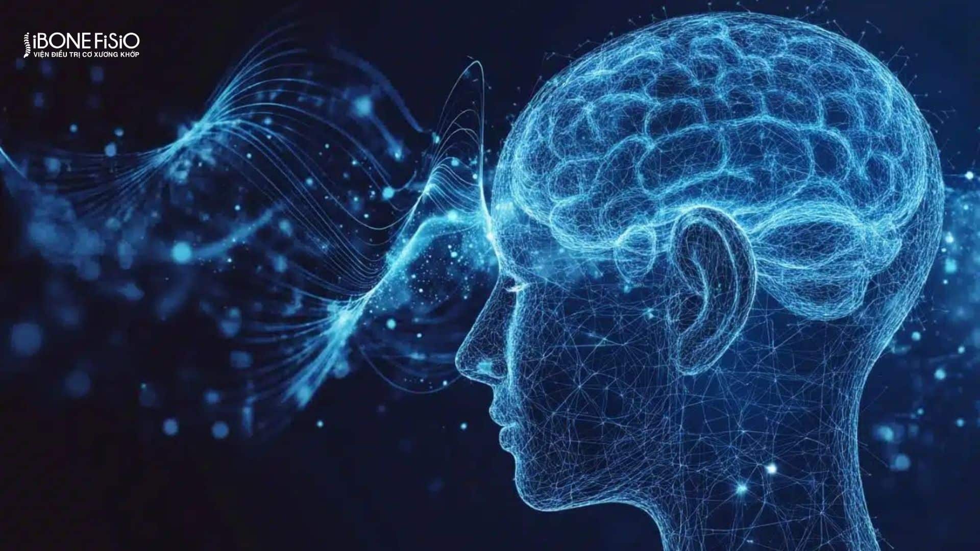 Tâm thần kinh là gì? Dấu hiệu nhận biết và khi nào cần khám 3 Bệnh tâm thần kinh